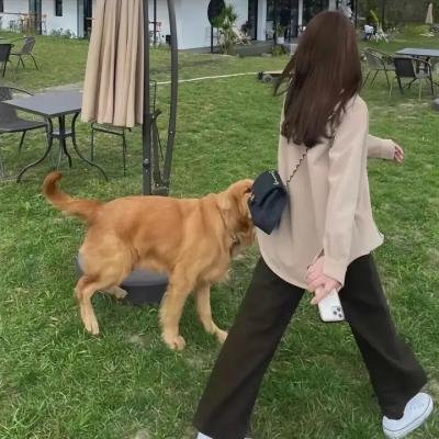 或许我们分手了